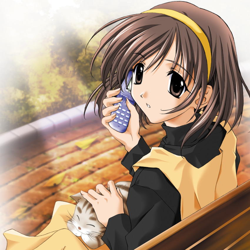 animal, animal_on_lap, bench, brown_hair, cat, cat_on_lap, cellphone, dress