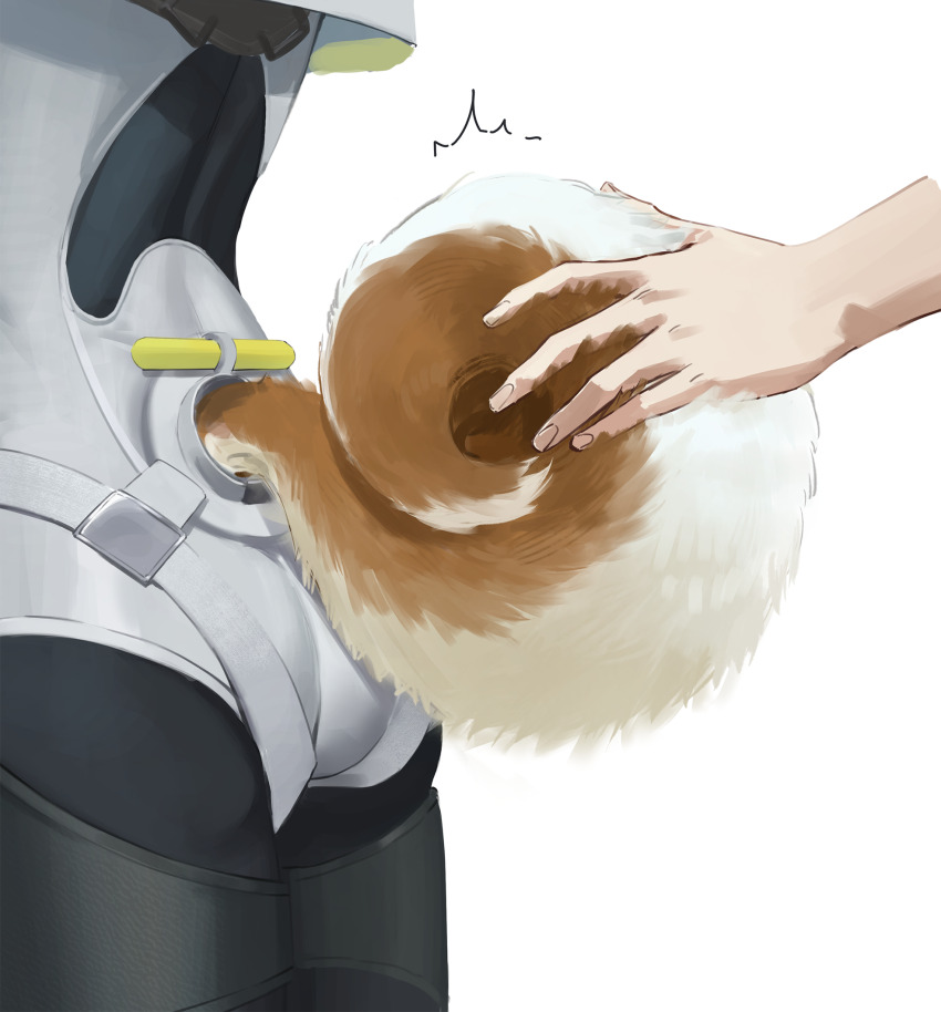 1girl, 1other, ^^^, akekuri_(arknights), arknights, arknights:_endfield, ass, ass_focus, bodysuit, chinese_commentary, commentary_request, dog_tail, from_behind, hand_on_another_tail, highres, mikann_(clm_mikan), out_of_frame, simple_background, solo_focus, tail, tail_focus, touching_tail, white_background