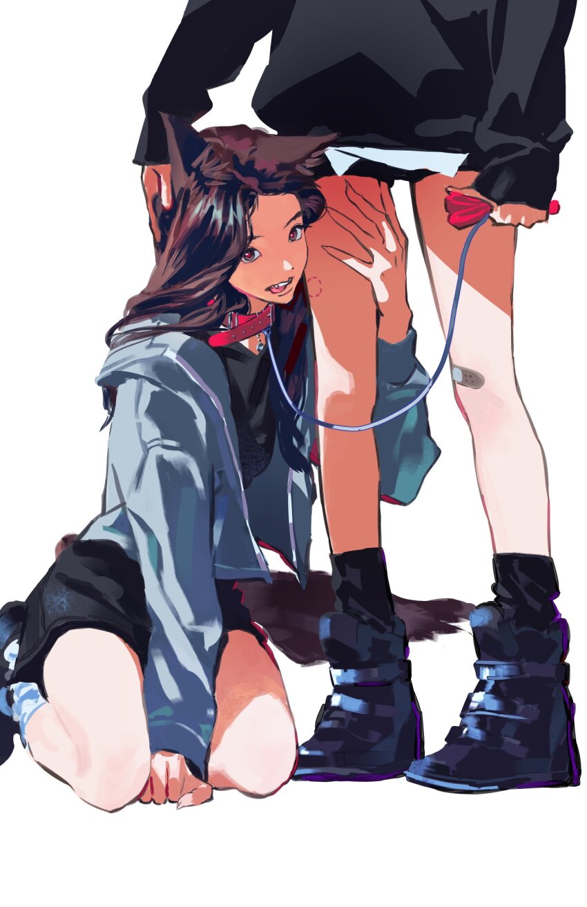2girls, animal_ears, bandaid, bandaid_on_knee, bandaid_on_leg, bite_mark, black_shirt, black_shoes, black_shorts, black_skirt, black_socks, black_sweater, blue_jacket, brown_eyes, brown_hair, collar, commentary, dog_ears, dog_tail, fangs, fingernails, hand_in_another's_hair, hand_on_another's_thigh, highres, illit, iroha_(illit), jacket, k-pop, kemonomimi_mode, leash, long_hair, multiple_girls, pet_play, real_life, red_collar, seiza, shirt, shiruanyways, shoes, shorts, simple_background, sitting, skirt, socks, sweater, tail, white_background, wonhee_(illit), yuri