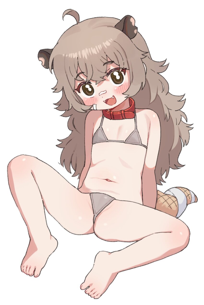 1girl, ahoge, animal_ears, bandaid, bandaid_on_face, bandaid_on_nose, barefoot, belt_collar