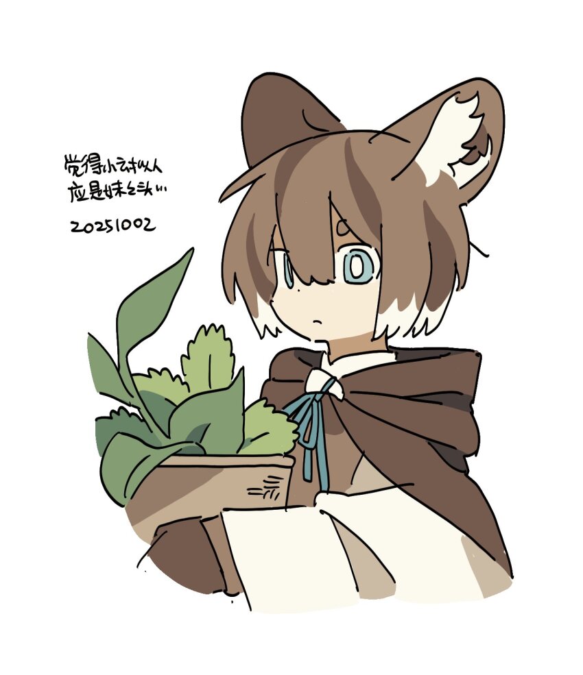 1boy, androgynous, animal_ears, blue_eyes, bright_pupils, brown_cape, brown_hair, cape