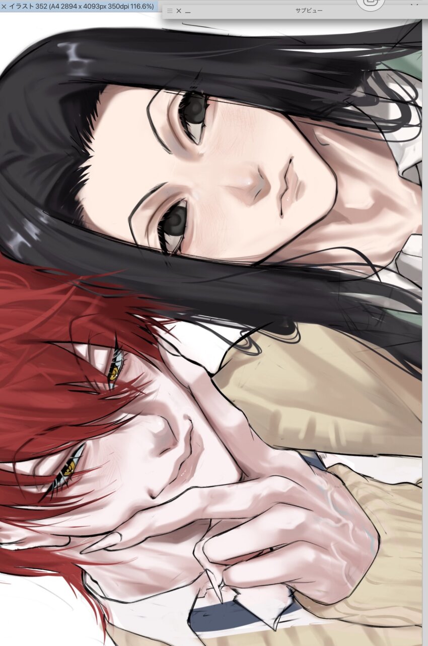 2boys, art_program_in_frame, black_eyes, black_hair, brown_sweater, closed_mouth, collared_shirt, commentary_request, hair_between_eyes, highres, hisoka_morow, hunter_x_hunter, illumi_zoldyck, lips, long_hair, looking_at_viewer, looking_to_the_side, male_focus, multiple_boys, nose, red_hair, riperipe_apple, shirt, sideways, sweater, veins, veiny_hands, white_background, white_shirt, yellow_eyes