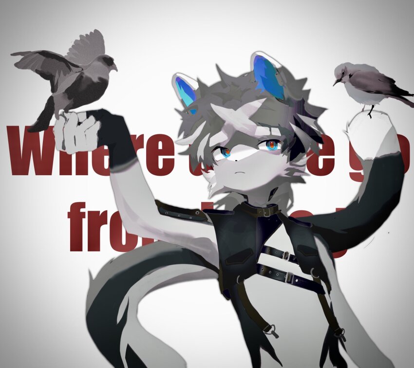 1boy, animal_ears, belt, bird, bird_on_hand, bird_on_tail, black_belt, black_shirt