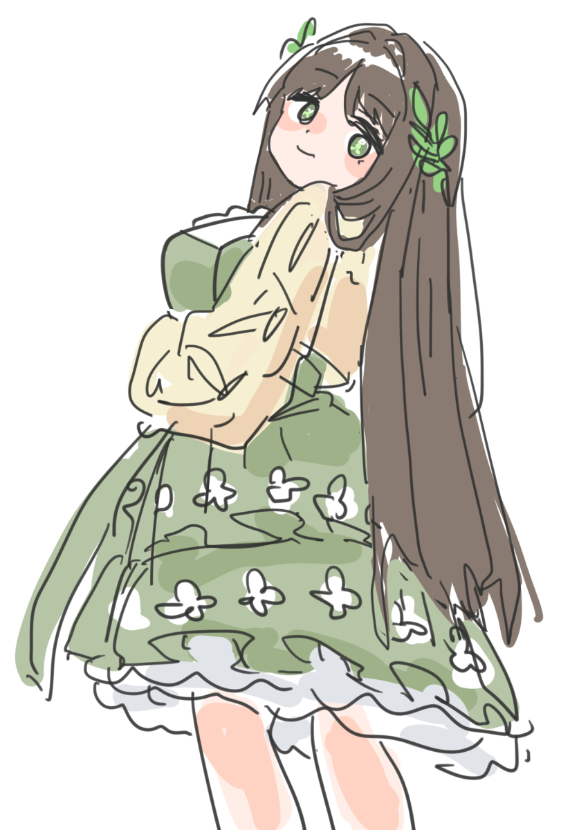 1girl, blush, brown_hair, closed_mouth, ealun_zatta, frills, from_behind, green_eyes