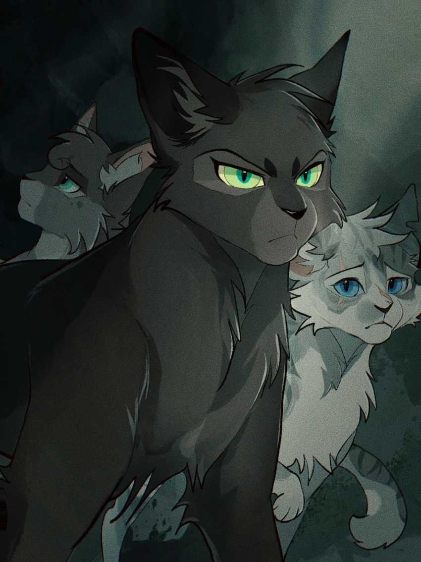 animal, animal_focus, black_cat, blue_eyes, cat, chinese_commentary, commentary_request, cousins