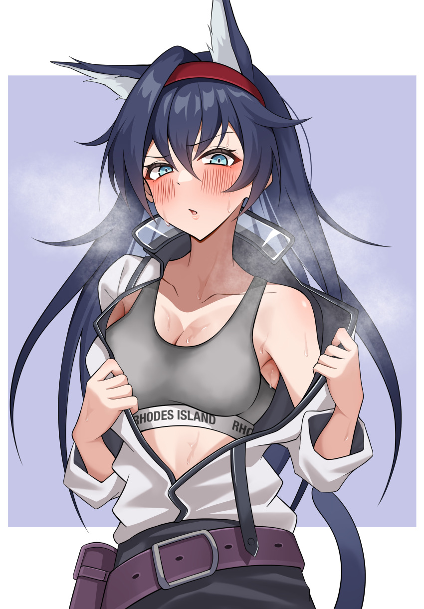 1girl, absurdres, animal_ears, arknights, black_hair, blaze_(arknights), blue_eyes, blush