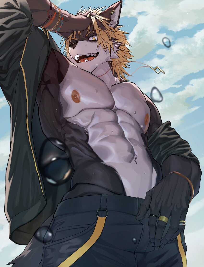 1boy, abs, absurdres, animal_ears, bara, black_jacket, black_pants, blonde_hair, blue_sky, bracelet, cloud, commentary_request, earrings, fangs, furry, furry_male, highres, ikuto_waon, jacket, jewelry, looking_at_viewer, male_focus, muscular, muscular_male, navel, necklace, nipples, nt_kichi8642, open_clothes, open_jacket, open_mouth, pants, pectorals, second-party_source, sky, smile, sweat, tail, utau, wolf_boy, wolf_ears, wolf_tail