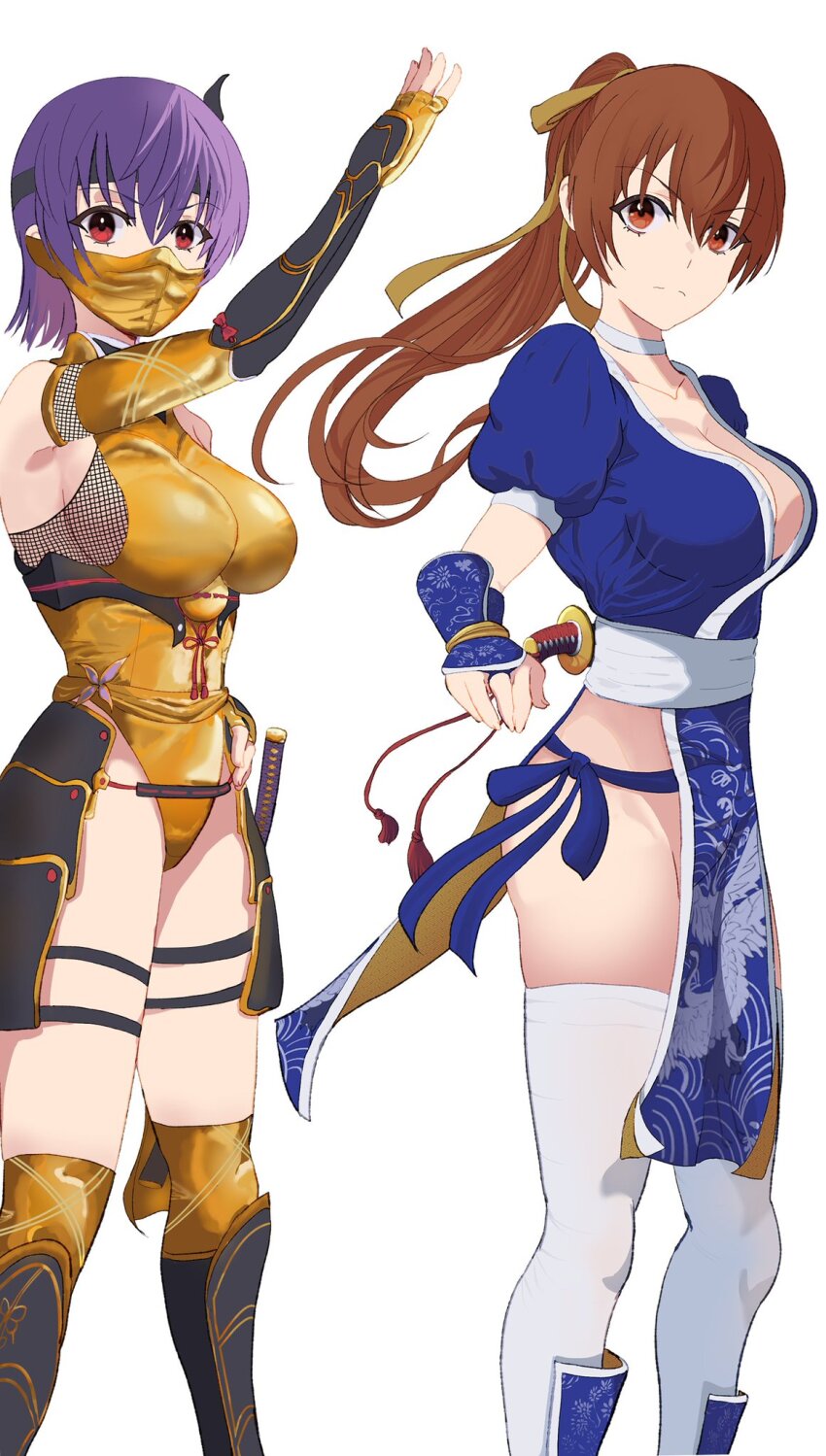 2girls, ayane_(doa), breasts, brown_eyes, brown_hair, dead_or_alive, elbow_gloves, fingerless_gloves, gloves, hidora1716, kasumi_(doa), large_breasts, leotard, long_hair, mask, multiple_girls, ninja, pelvic_curtain, purple_hair, short_hair, short_sleeves, siblings, sisters, sword, thighhighs, weapon, white_background