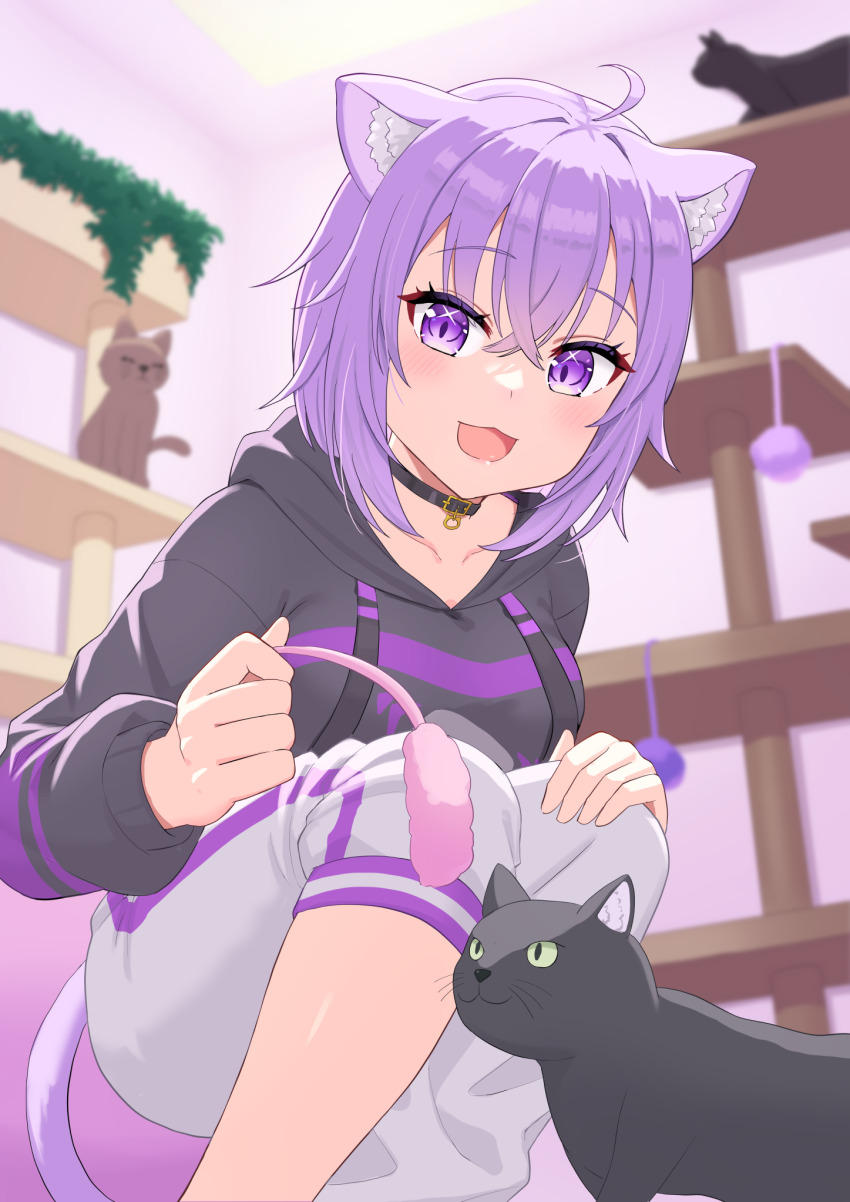 1girl, ahoge, animal_ear_fluff, animal_ears, black_collar, black_hoodie, cat, cat_ears, cat_girl, cat_tail, collar, commentary_request, highres, hololive, hood, hoodie, kisasage, nekomata_okayu, nekomata_okayu_(1st_costume), open_mouth, pants, purple_eyes, purple_hair, smile, solo, tail, virtual_youtuber, white_pants
