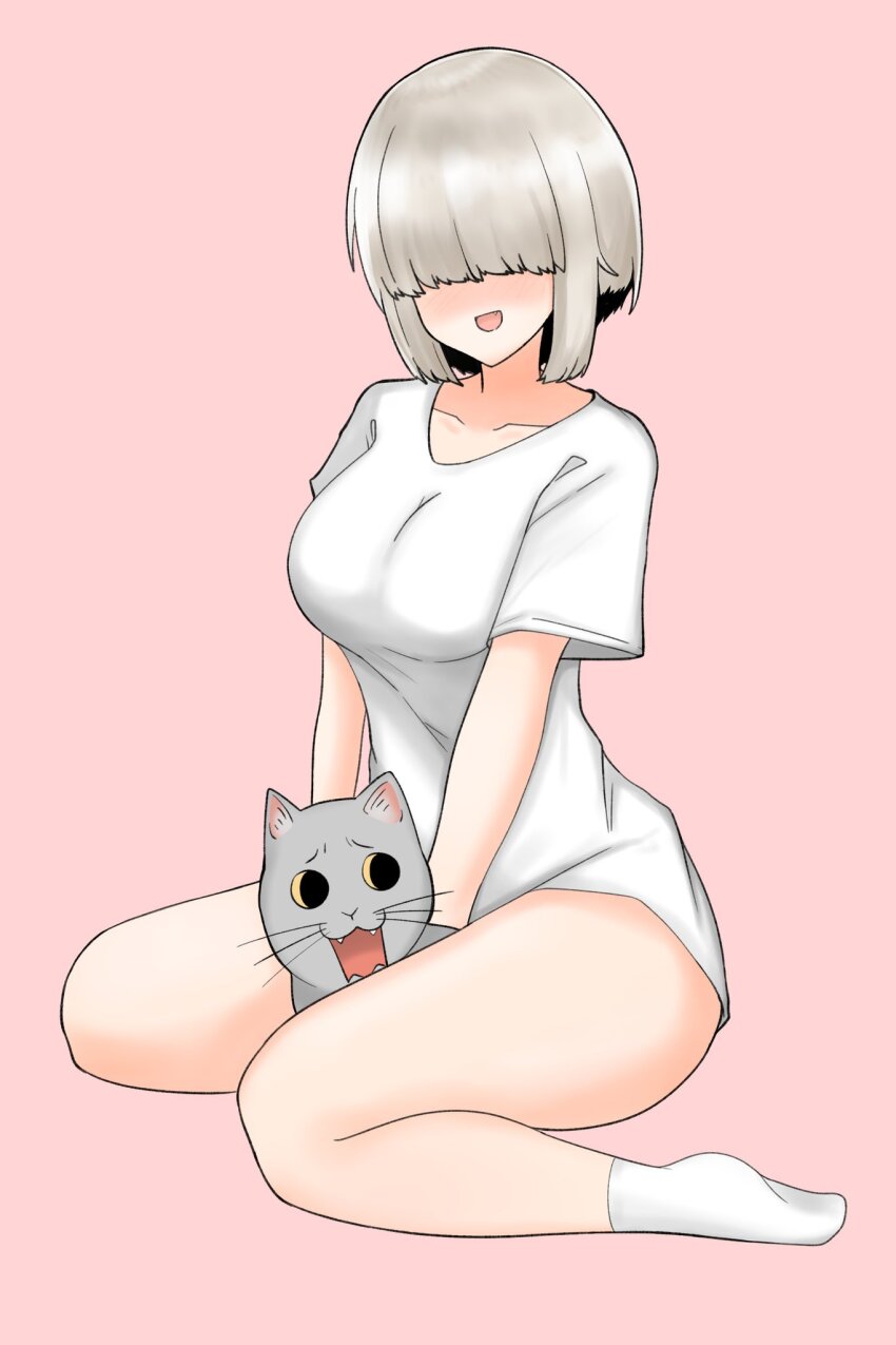 1girl, :d, ass, bad_id, bad_pixiv_id, between_legs, blunt_bangs, blush, breasts, cat, collarbone, commentary, facing_viewer, fang, full_body, grey_cat, grey_hair, hair_over_eyes, highres, l4ttekim, large_breasts, long_bangs, no_eyes, no_pants, nose_blush, on_ground, open_mouth, pink_background, shirt, short_hair, short_sleeves, sidelocks, simple_background, sitting, smile, socks, solo, t-shirt, uzaki-chan_wa_asobitai!, uzaki_yanagi, v_arms, wariza, white_shirt, white_socks