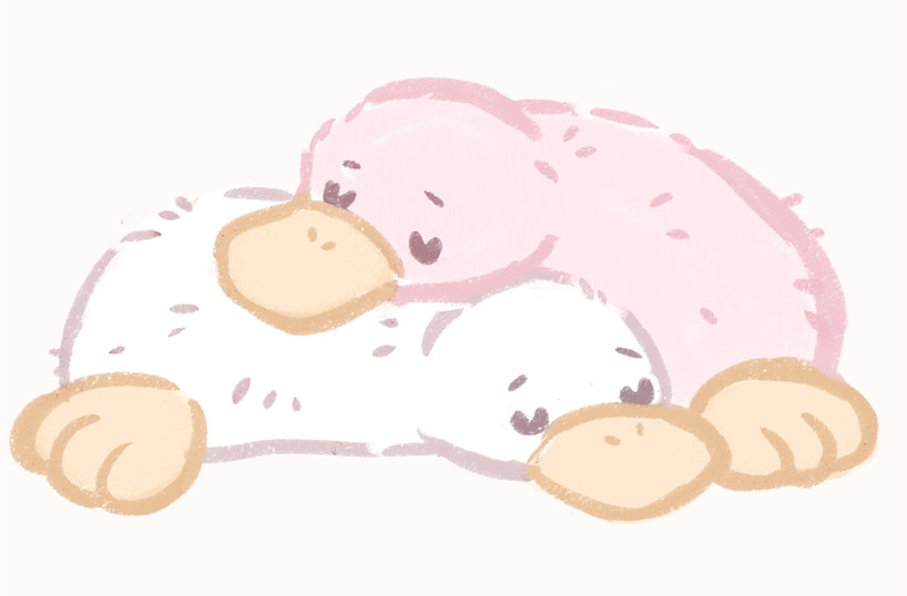 affectionate, animal, animal_focus, beak, bird, closed_eyes, commentary, creature