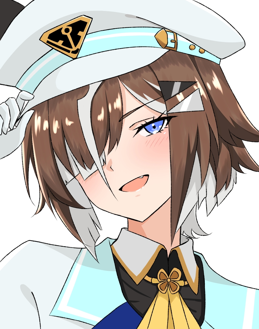 1girl, absurdres, adjusting_clothes, adjusting_headwear, animal_ears, blue_eyes, blush, brown_hair