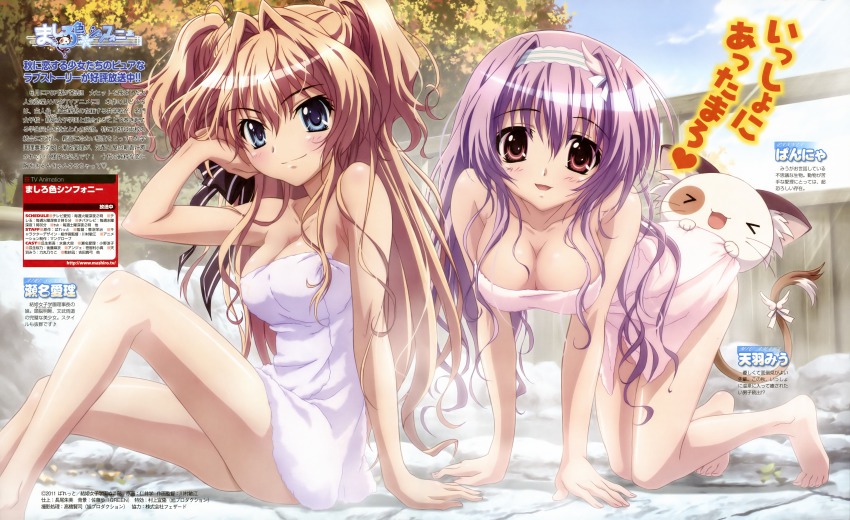 2girls, absurdres, amaha_miu, barefoot, breasts, cat, cleavage, dengeki_g's, hair_intakes, highres, magazine_scan, mashiroiro_symphony, multiple_girls, naked_towel, nii_manabu, official_art, onsen, pan-nya, purple_hair, scan, sena_airi, towel, two_side_up