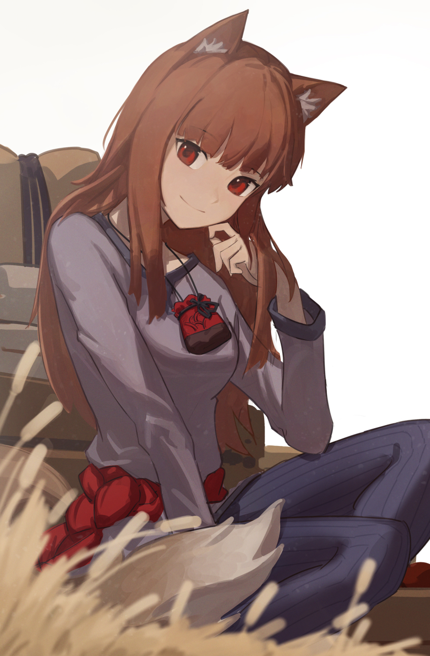 1girl, absurdres, animal_ear_fluff, animal_ears, breasts, brown_hair, closed_mouth, collarbone