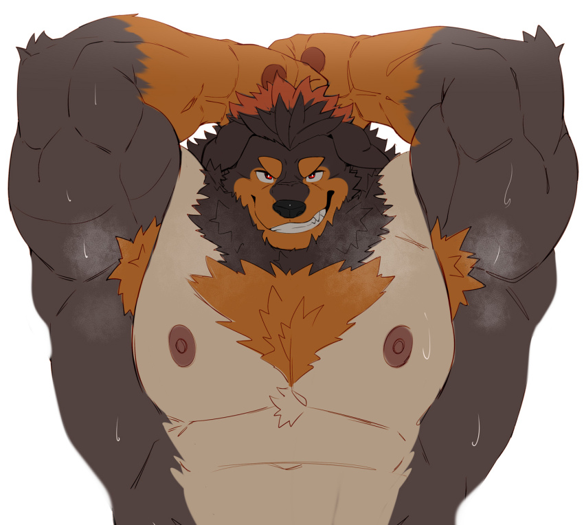 1boy, abs, animal_ears, animal_nose, armpit_hair, armpits, arms_up, bara, bare_pectorals, biceps, brown_fur, colored_tips, dog_boy, dog_ears, fangs, firenzesaika, floppy_ears, furry, furry_male, grin, highres, looking_at_viewer, male_focus, multicolored_fur, multicolored_hair, muscular, muscular_male, nipples, pawpads, pectorals, presenting_armpit, smile, sweat, tayangsuyi_(xxl), topless_male, very_sweaty, white_background, xxl_woofia