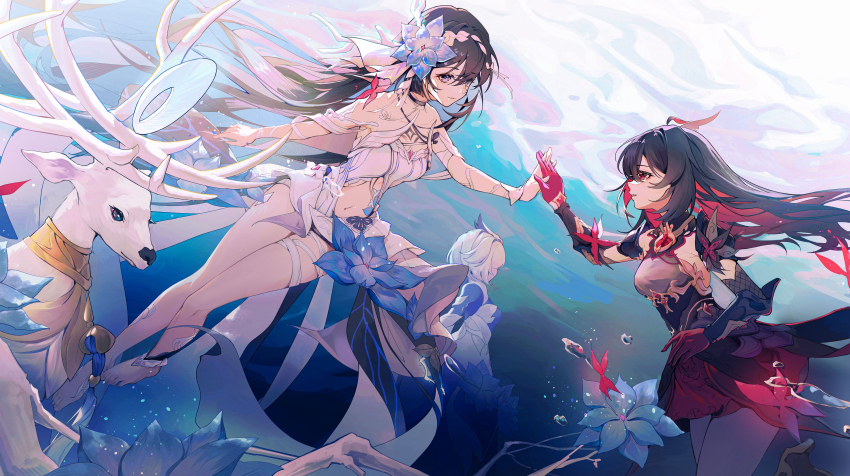 2girls, absurdres, barefoot, black_dress, blue_flower, breasts, chinese_commentary, commentary_request