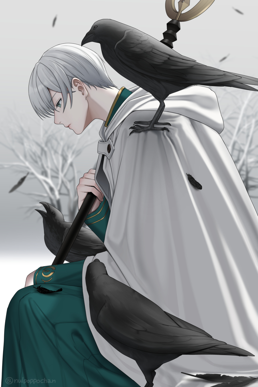 1boy, absurdres, animal, animal_on_shoulder, artist_name, bird, bird_on_shoulder, black_feathers