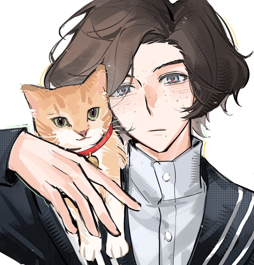 1boy, animal, animal_on_shoulder, blue_eyes, brown_hair, cat, cat_on_shoulder, chinese_commentary