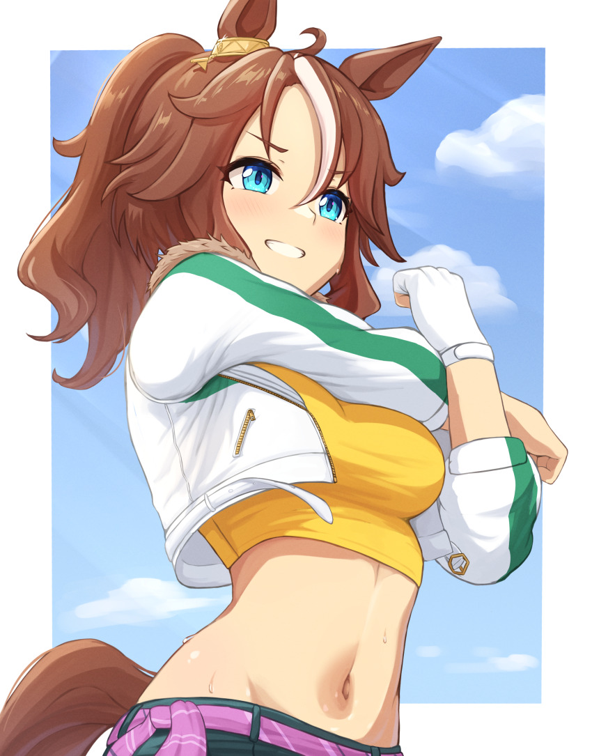 1girl, absurdres, animal_ears, blue_sky, border, breasts, brown_hair, brown_tail