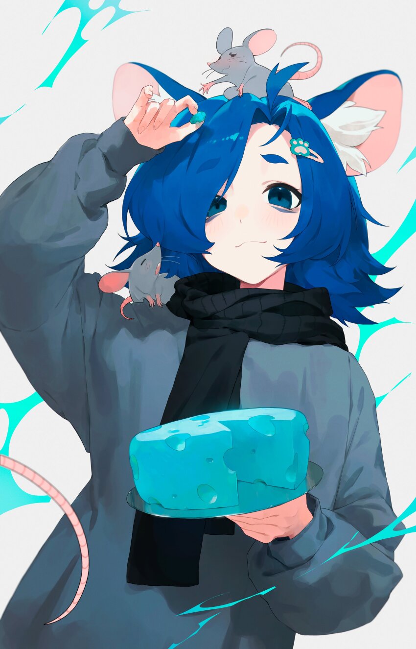 1girl, absurdres, animal, animal_ear_fluff, animal_ears, animal_on_head, animal_on_shoulder, aoki_buruu, bags_under_eyes, black_scarf, blue_eyes, blue_hair, blush, borrowed_character, cheese, cheese_wheel, food, highres, koitoroku, medium_hair, mouse_(animal), mouse_ears, mouse_girl, on_head, original, scarf, white_background