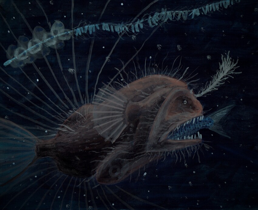 animal, animal_focus, commentary_request, fish, highres, no_humans, ocean, original