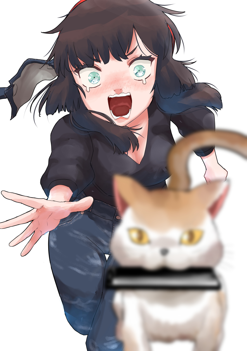 1girl, black_shirt, blue_eyes, breasts, brown_hair, cat, cellphone, chasing, crying, crying_with_eyes_open, denim, hairband, highres, jeans, kantai_collection, long_sleeves, medium_breasts, medium_hair, mogador_(kancolle), mogador_(sasebo)_(kancolle), nekotarou_(nktr299), open_mouth, pants, phone, running, screaming, shirt, simple_background, tears, teeth, white_background