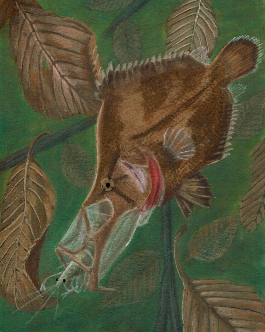 absurdres, animal_focus, branch, commentary_request, fish, green_background, highres, leaf