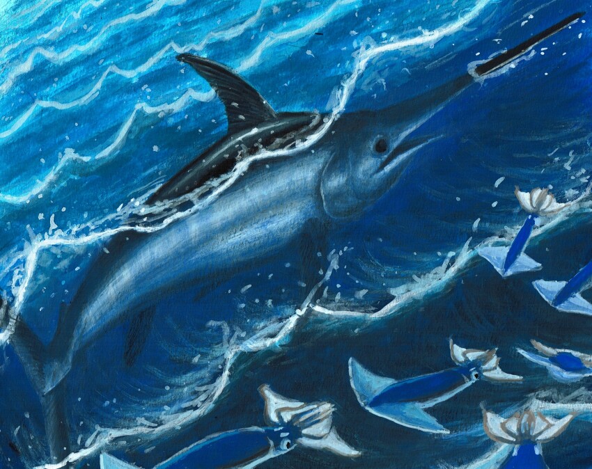 animal, animal_focus, commentary_request, day, fish, highres, no_humans, ocean, original, outdoors, squid, swordfish, water, waves, yan_chuan_(285ne10)