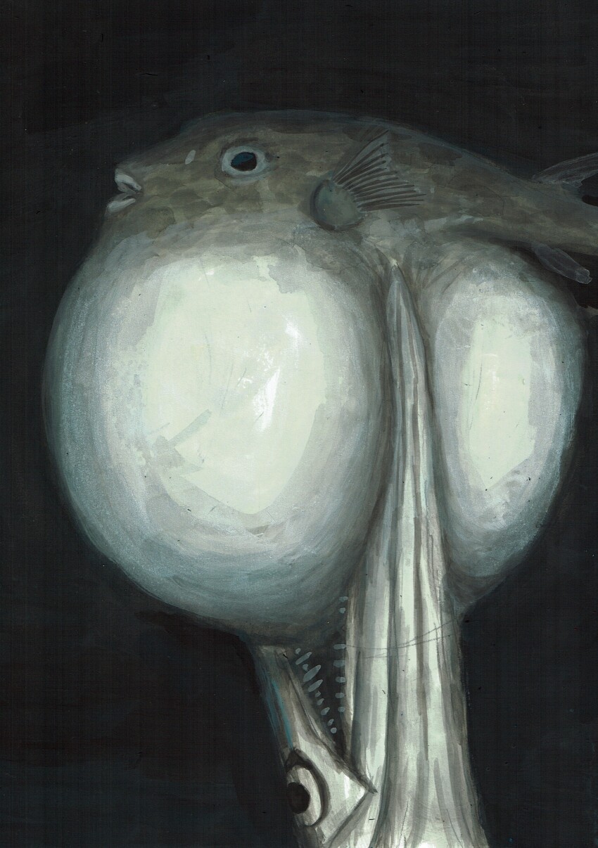 absurdres, animal, animal_focus, commentary_request, fish, highres, no_humans, original