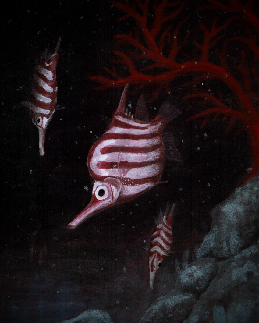 absurdres, animal, animal_focus, commentary_request, coral, fish, highres, no_humans