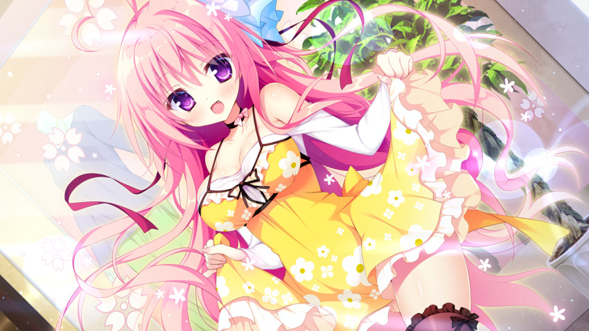 1girl, :d, ahoge, bare_shoulders, blush, bow_legwear, breasts, brown_thighhighs, cleavage, collarbone, cowboy_shot, dress, dutch_angle, fang, flower_symbol, frilled_dress, frilled_thighhighs, frills, game_cg, hair_between_eyes, haru_haru_(koikoko), heart, heart_ahoge, holding_own_dress, koi_suru_kokoro_to_mahou_no_kotoba, large_breasts, long_hair, looking_at_viewer, non-web_source, off-shoulder_dress, off_shoulder, open_mouth, pink_hair, purple_eyes, self-datamine, shiromochi_sakura, smile, solo, thighhighs, variant_set, yellow_dress