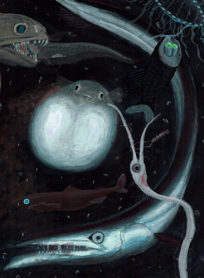 absurdres, animal, animal_focus, commentary_request, eel, fish, fish_request, highres