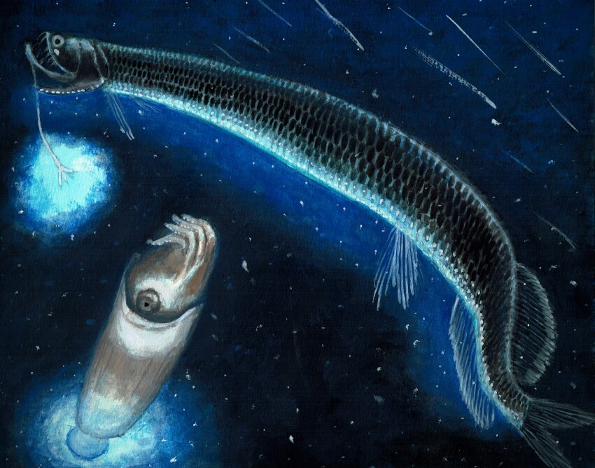 animal, animal_focus, bioluminescence, commentary, commentary_request, english_commentary, fish, glowing