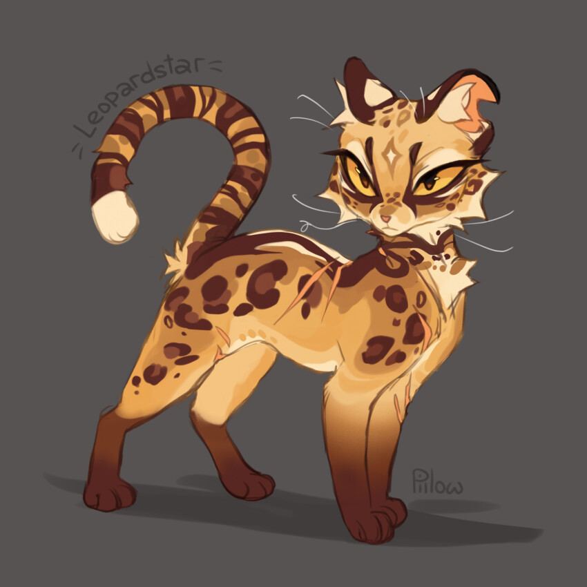 animal, animal_focus, artist_name, brown_eyes, cat, character_name, colored_sclera, commentary