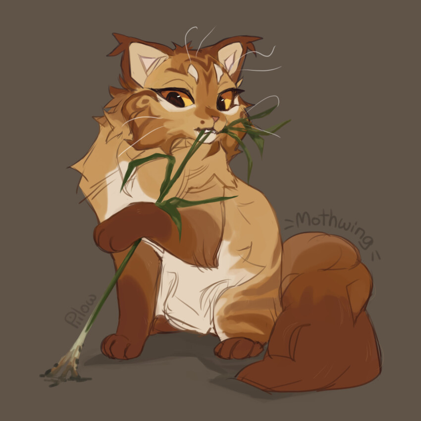 animal, animal_focus, artist_name, brown_background, cat, character_name, commentary, english_commentary