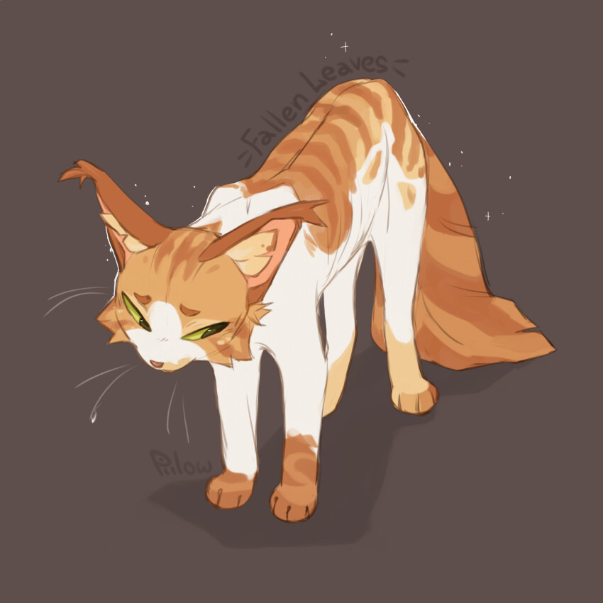 animal, animal_focus, artist_name, brown_background, cat, character_name, commentary, ear_tufts, english_commentary, fallen_leaves_(warrior_cats), fluffy, full_body, graypillow, green_eyes, highres, looking_down, multicolored_fur, no_humans, orange_cat, orange_fur, power_of_three, simple_background, solo, tabby_cat, warrior_cats, whiskers, white_fur
