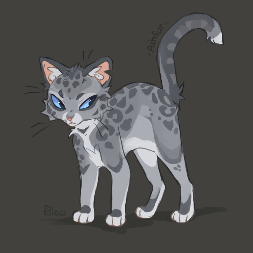 animal, animal_focus, artist_name, ashfur, blue_eyes, cat, character_name, commentary