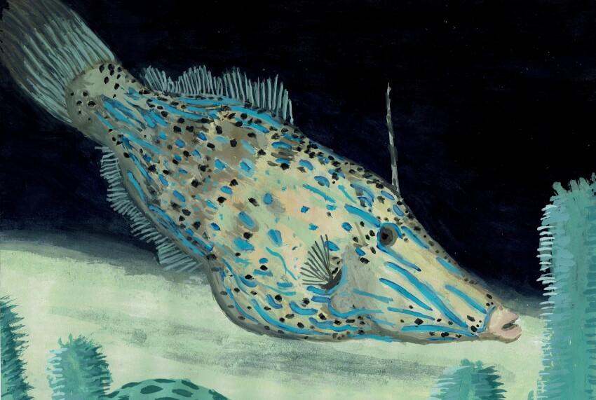 absurdres, animal, animal_focus, commentary_request, filefish, fish, highres, no_humans