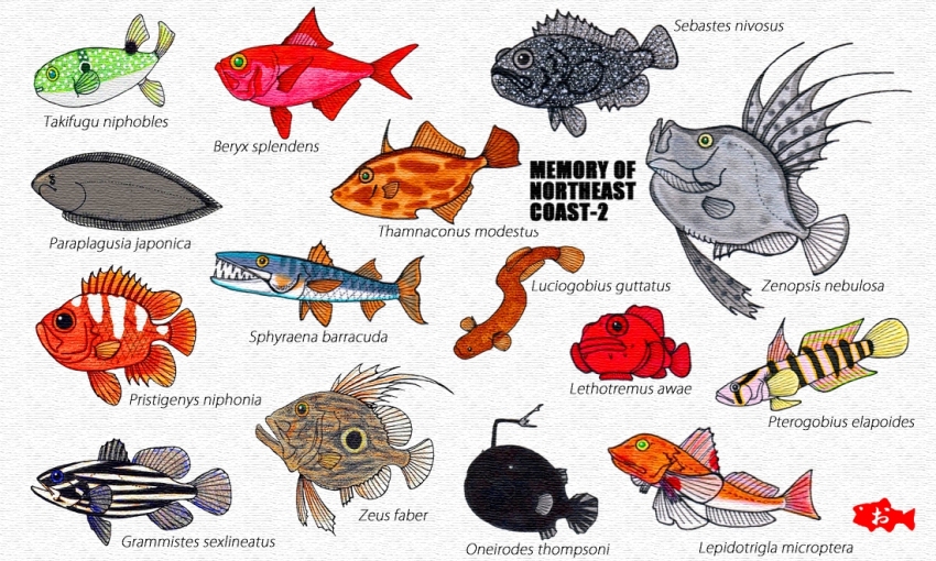 alfonsino_(fish), anglerfish, animal, animal_focus, barracuda, black_scraper, commentary_request, dory_(fish)