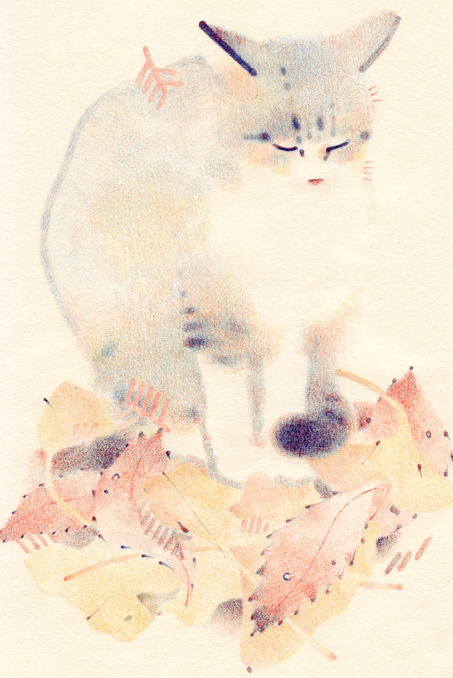 animal, bad_id, bad_pixiv_id, cat, leaf, no_humans, original, solo