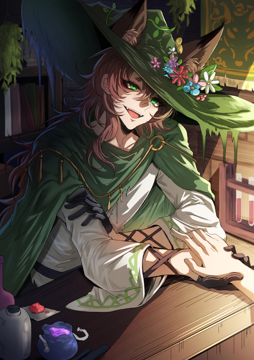 1boy, :d, absurdres, animal_ears, belt, bookshelf, brown_hair, cloak