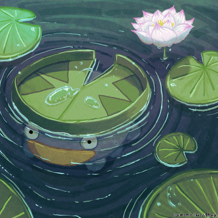 commentary_request, flower, gen_3_pokemon, highres, lily_pad, lotad, momi_o, nintendo