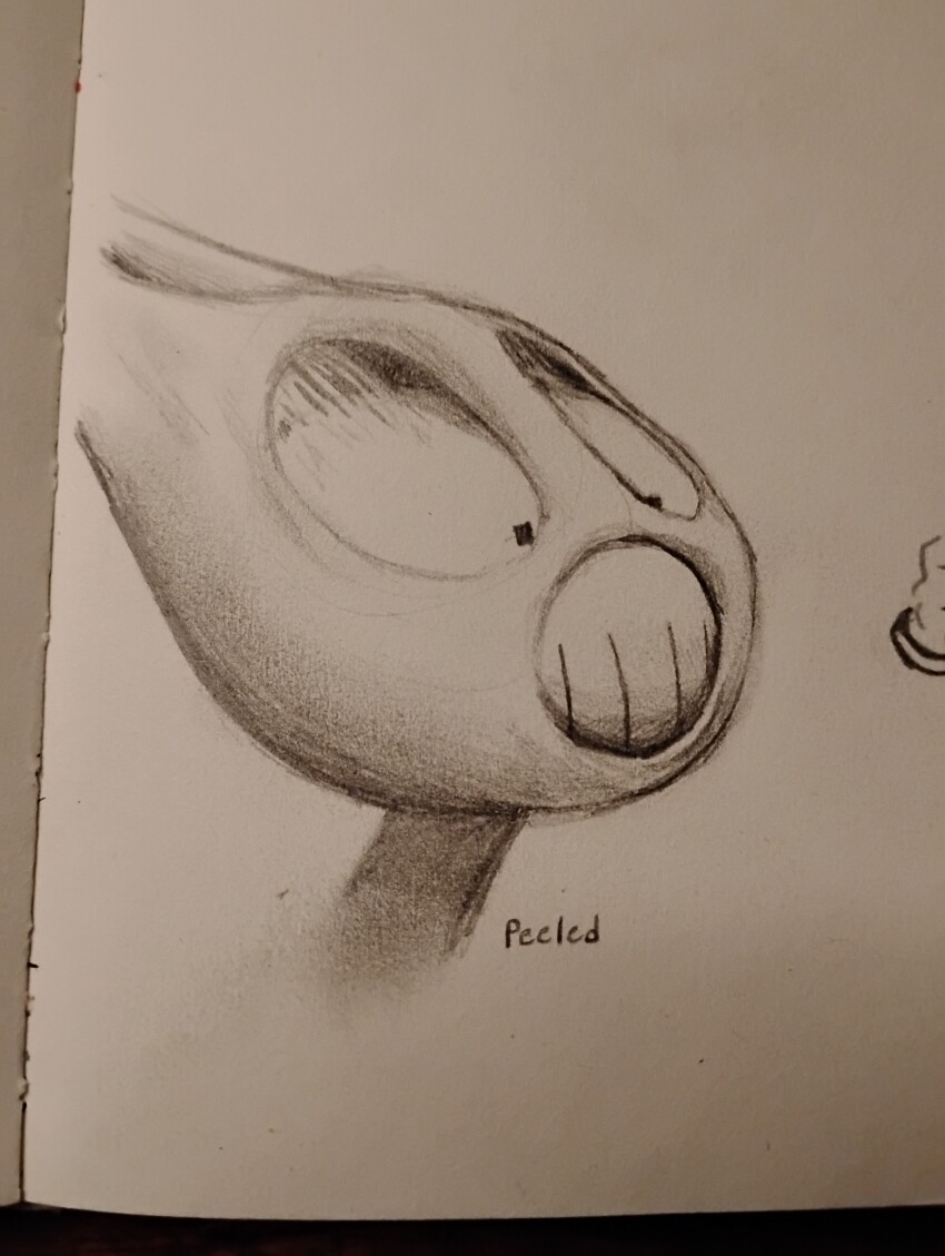 1boy, absurdres, apollo-ray, body_horror, canon_event, guro, highres, jax_(the_amazing_digital_circus)