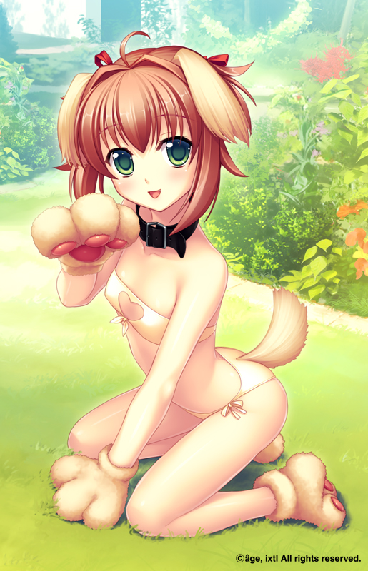 1girl, ahoge, animal_ears, animal_hands, bikini, breasts, brown_hair, cleavage_cutout, clothing_cutout, collar, dog_ears, dog_tail, female_focus, garden, gloves, grass, green_eyes, hair_ribbon, heart, heart_cutout, himukai_kyousuke, miono_shizuku, muv-luv, muv-luv_alternative, panties, paw_gloves, ribbon, short_hair, side-tie_bikini_bottom, small_breasts, smile, solo, swimsuit, tail, underwear