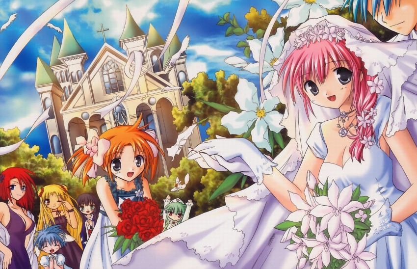 00s, 1boy, 6+girls, apricot_sakuraba, blonde_hair, bridal_veil, bride, broccoli_(company)