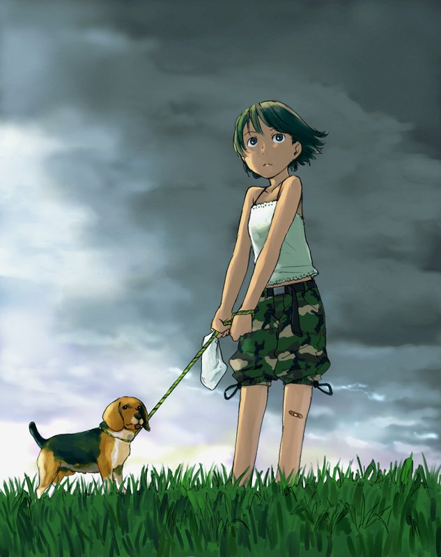 1girl, bandages, bandaid, bandaid_on_knee, bandaid_on_leg, beagle, camisole, camouflage