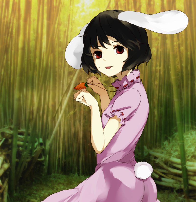 1girl, animal_ears, bad_id, bad_pixiv_id, bamboo, benetto_(benet), black_hair, carrot