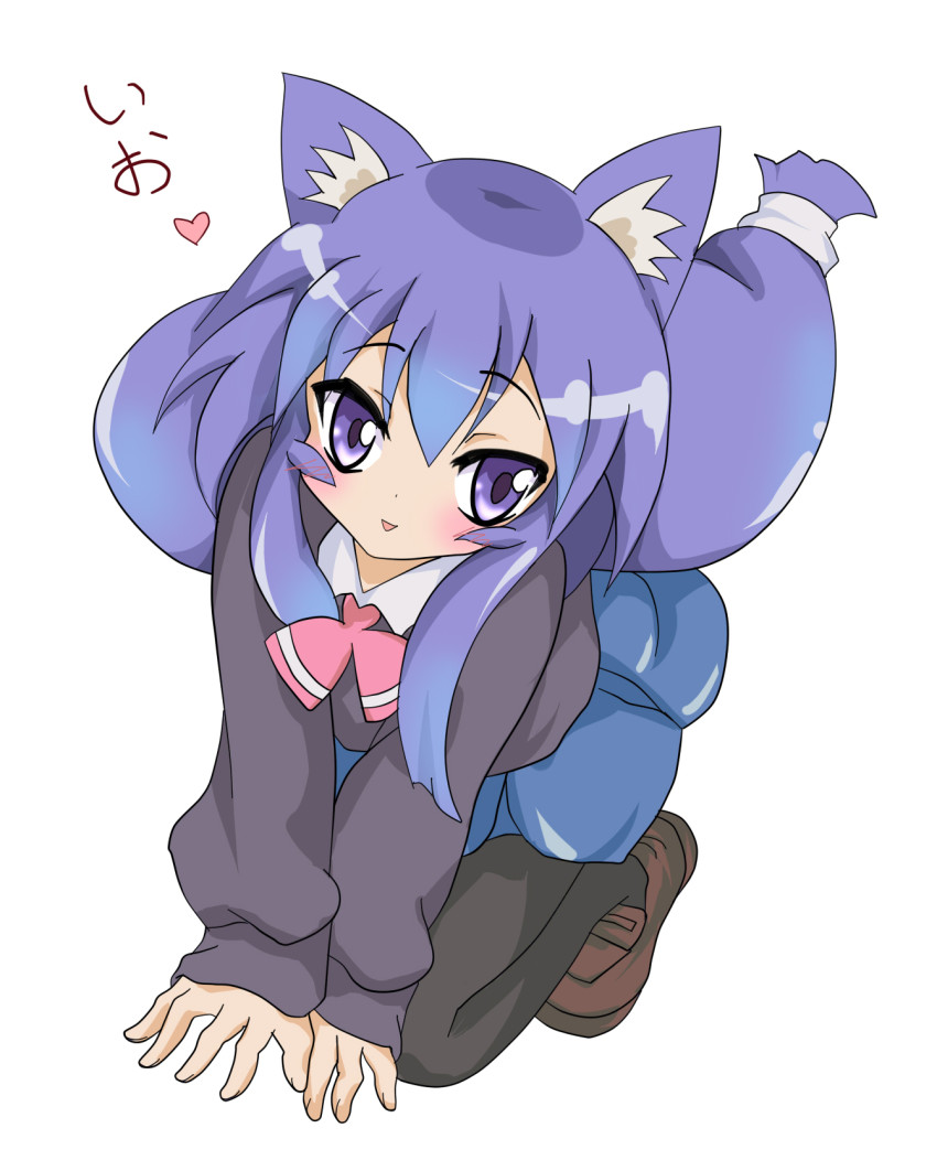1girl, acchi_kocchi, animal_ears, bad_id, bad_pixiv_id, blue_hair, cat_ears, female_focus