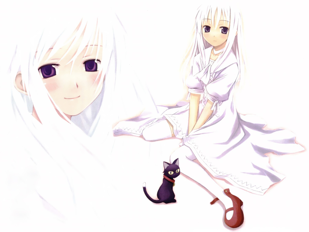 00s, 1girl, black_cat, blending, blush, cat, daniel, daniel_(shinigami_no_ballad), dress, long_hair, momo_(shinigami_no_ballad), nanakusa, purple_eyes, shinigami_no_ballad, smile, thighhighs, white_hair