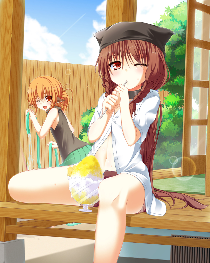 2girls, animal_ears, animal_hat, braid, brown_hair, cat_hat, cat_tail, hat